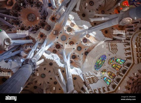 Interior Of Basilica Sagrada Familia Transept Barcelona Catalonia