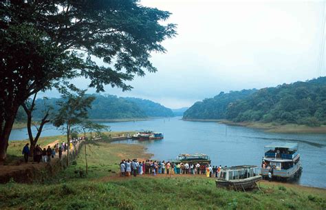 Periyar National Park in Kerala: Essential Travel Guide