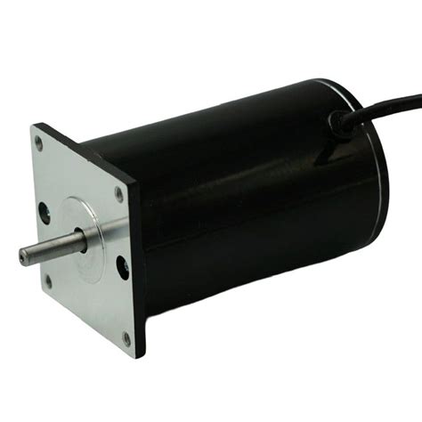 24v 48v Permanent Magnet Brushed Dc Motor 30 300w 76zyt For Swing