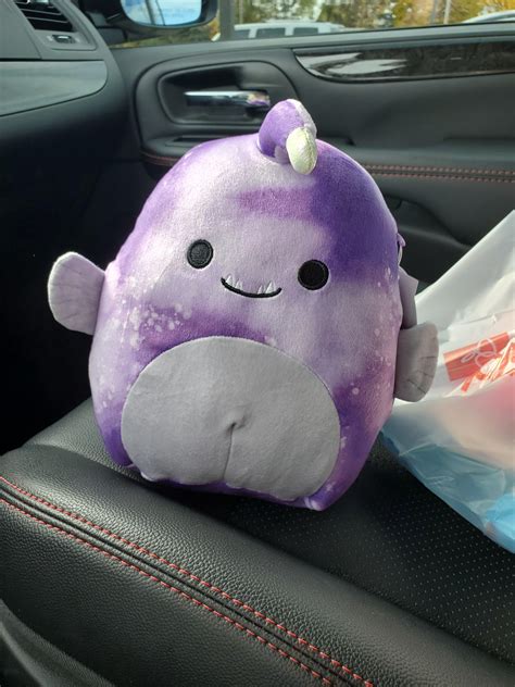 Could Not Resist R Squishmallow