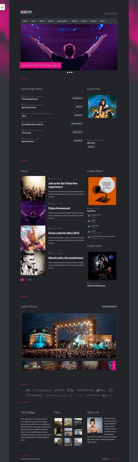 Dubstep Responsive Wordpress Music Theme For Bands Musicians