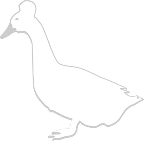 Duck Outline 36630856 Vector Art At Vecteezy