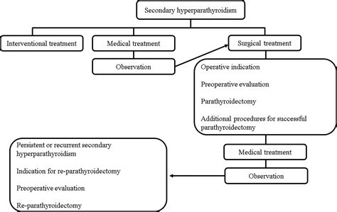 Frontiers Treatment For Secondary Hyperparathyroidism Focusing On