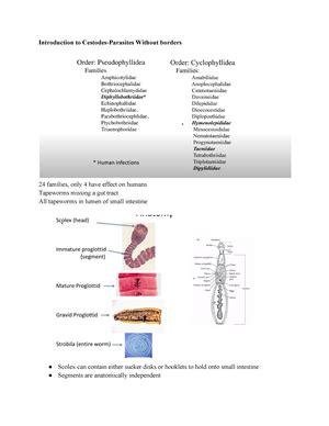 Human Parasitology Notes Chapter 4 146 328 Studocu