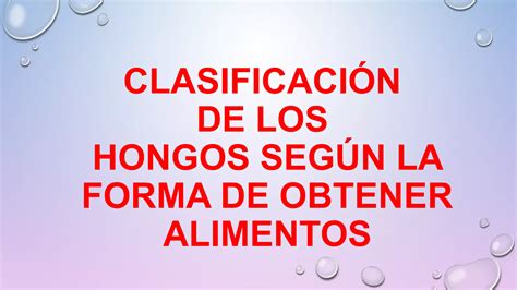 REINO FUNGI CARACTERÍSTICAS Y CLASIFICACIÓN Lic Javier Cucaita PPT