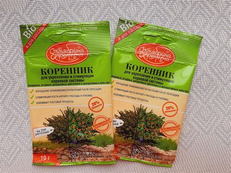 "Коренник": инструкция по применению