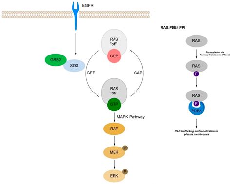 Ijms Free Full Text Selected Approaches To Disrupting Protein Protein Interactions Within