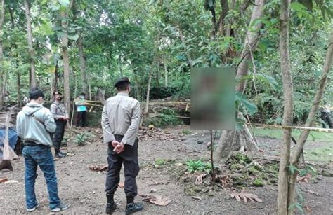 Geger Kakek Di Kulonprogo Ditemukan Tewas Gantung Diri Pada Pohon Jambu