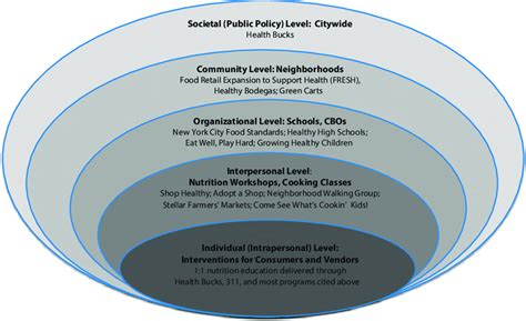 The Social Ecological Model As Adapted By The New York City Department