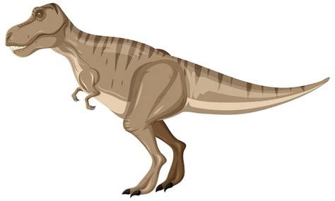 Tyrannosaurus Rex Dinosaurio Sobre Fondo Blanco Vector Gratis