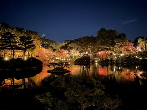 縮景園の「もみじまつり 紅葉ライトアップ ～泉水の灯り～」に行ってみました！