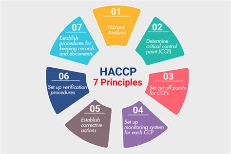 Implementing HACCP Principles Ensuring Food Safety And Quality In