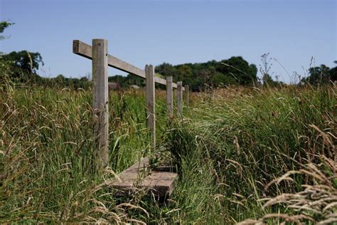 Wey South Path Peter Trimming Geograph Britain And Ireland