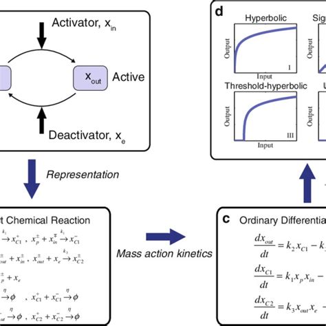 The Dynamics Of The Covalent Modification Cycle A The Schematic Of The Download Scientific