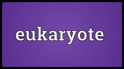Eukaryote Meaning - YouTube