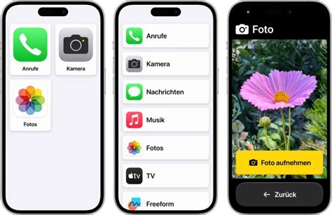 Unterstützender Zugriff Apple erklärt den iPhone Einfachmodus