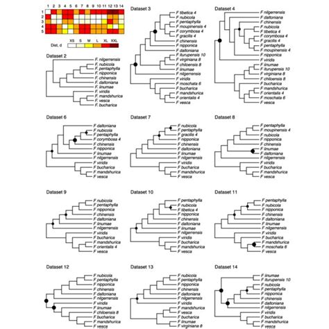 Species Trees Reconstructed Using Astral For Various Sets Of Taxa