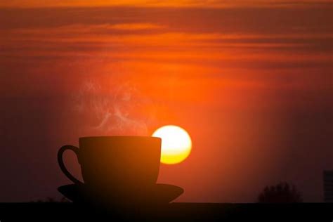 Coffee Sunrise Stock Photos, Images and Backgrounds for Free Download