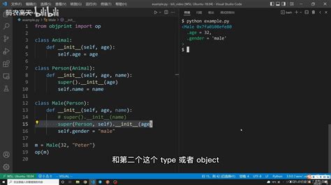 python案例九super 与多继承MRO顺序 super mro链 CSDN博客