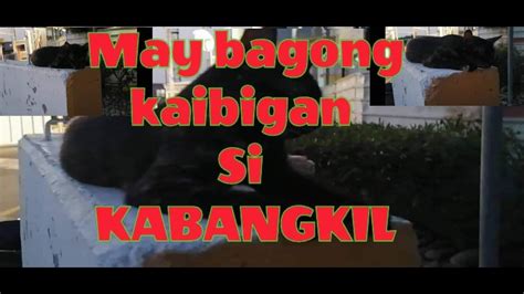 SI MONING NA MARUNONG MAKIPAG USAP KAY KABANGKIL YouTube