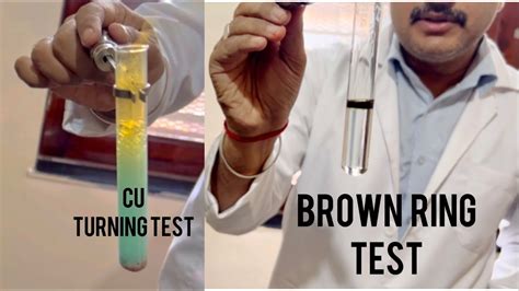 Brown Ring Test Nitrate Ion Test Chemistry Practical Salt Analysis