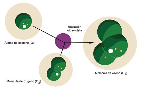 La Capa De Ozono Y Las Sao