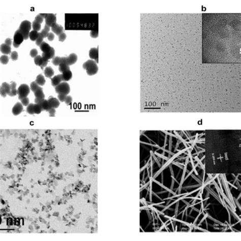 | Crystal structure of iron sulfide. (A) FeS. (B) FeS 2 . (C) Fe 2 S 2 ...