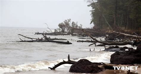 Kolkā Reģistrēts Jauns 16 Novembra Siltuma Rekords