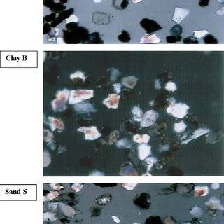 Optical Microscope Photos Of The Three Samples A B And S Under M