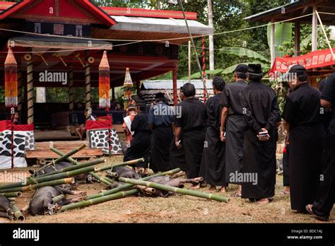 Indonesia Sulawesi Tana Toraja Torajan Funeral Traditionally Dressed