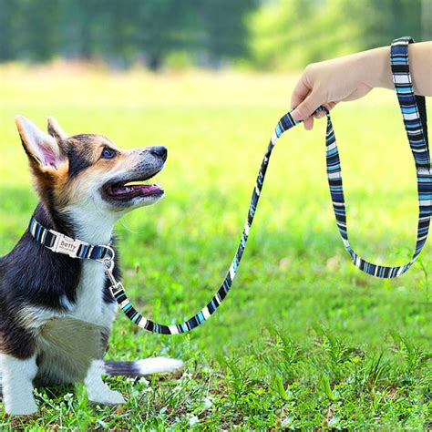 Beirui Collar Perro Personalizado Con Hebilla De Liberación Rápida