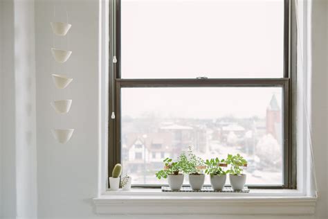 8 Best Indoor Herb Growing Kits of 2021 | Apartment Therapy