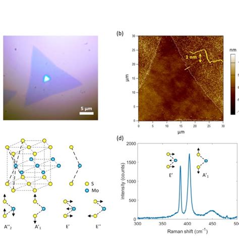 PDF Thermal Expansion Coefficient Of Monolayer Molybdenum Disulfide