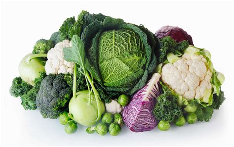 Cruciferous Vegetables Representative Species & List - Health Benefits