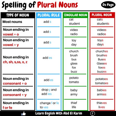 Spelling of Plural Nouns | Vocabulary Home