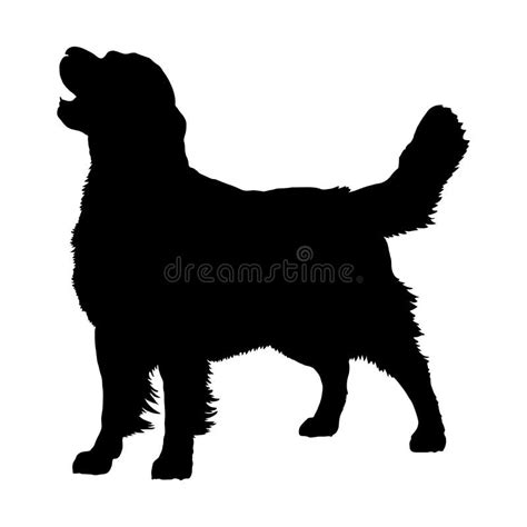 Golden Retriever Silhouette Stock Illustrations – 1,309 Golden ...