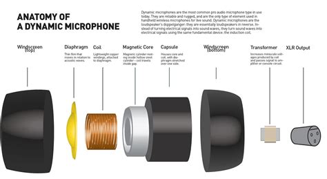 Dynamic Microphone Diagram