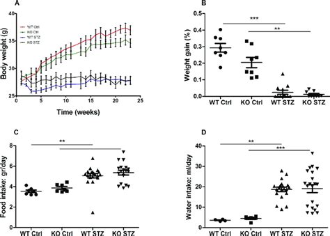 Metabolic Parameters Body Weight Weight Gain Food Intake And Water