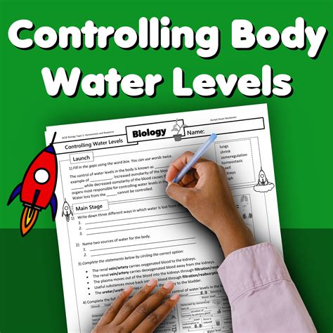 Controlling Body Water Levels Home Learning Worksheet GCSE