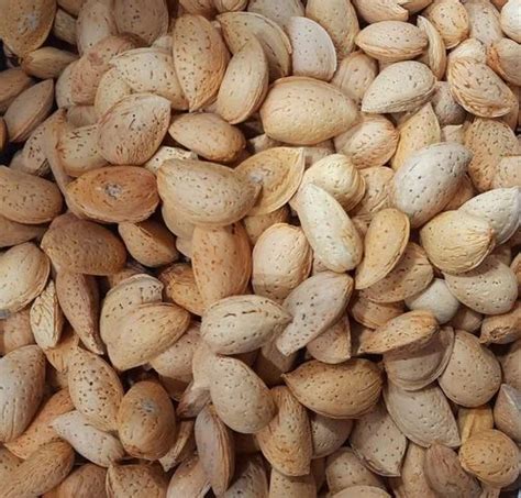 Kashmiri Natural Shelled Almond at Rs 125 kg बदम शल in New Delhi