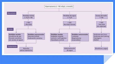 Hipernatremia Cristhian Avilez UDocz