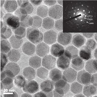 A The Plan View SEM Micrograph Of Manganese Nanoparticle Assembly On