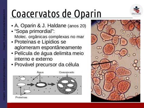 1em 5 Origem Da Vida Na Terra