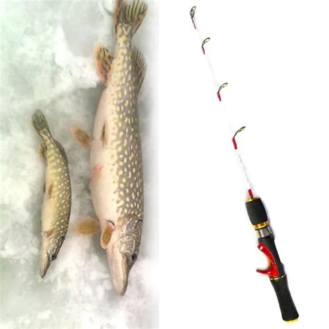 Free Shipping 55cm Newest Ice Fishing Rod Solid Mini Fishing Pole For