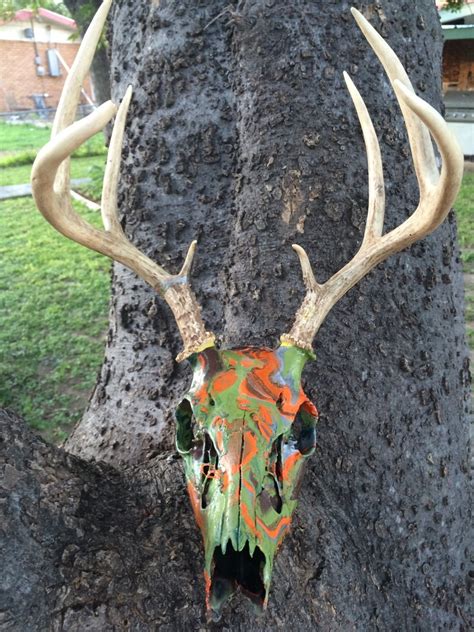 Hydro Dipped Whitetail Buck Deer Skull 8pts European Mount