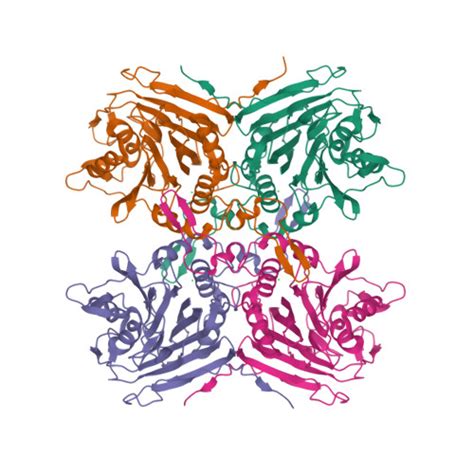 RCSB PDB 2QUY Truncated Mutant ASN175ALA Of Penicillin V Acylase