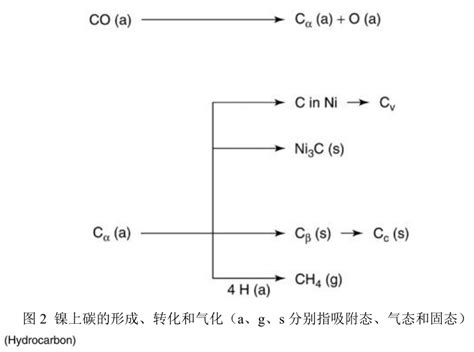 催化剂失活与再生图片补充 知乎