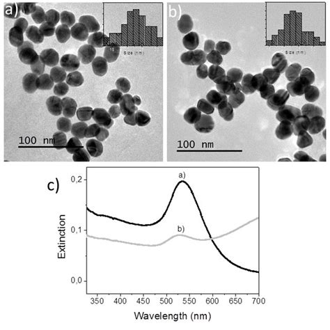 Tem Images Of A Mgl Aunp Suspension In Milliq Water And B