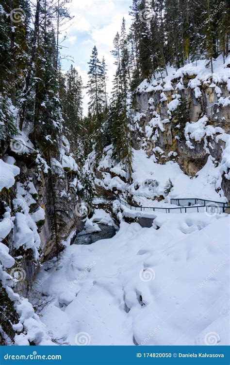 Johnston Canyon In Winter Canada Stock Photo Image Of Frozen Park