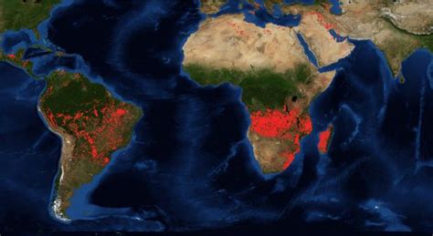 Pożary w Afryce Nie tylko Amazonia stoi w ogniu płoną lasy w Kongo i